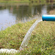 dugout water